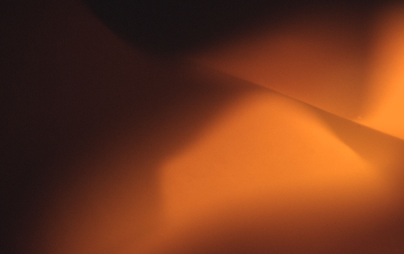 indwelling:    desert    wildflower  sepia  abstract-landscape   dunes    lit-from-within      chiascurro          abstract