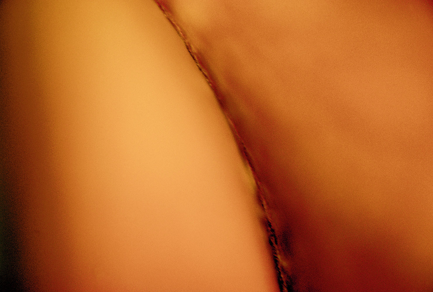 bronze:   sepia   nude   desert    wildflower   skin  suggestive abstract