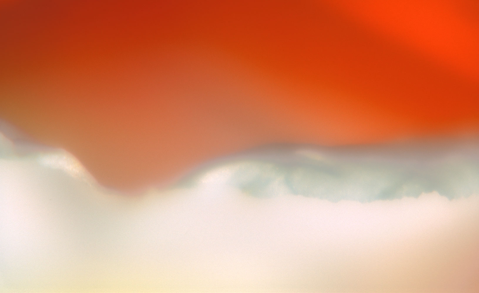 nimbus:       sunset    California poppy   cloud     wave     Mojave  orange    soft    desert    painterly      abstract