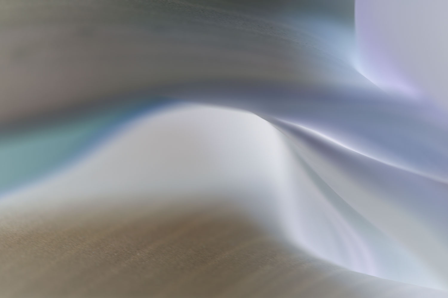silk-slip:     waves    sensual     tidal   tender   movement   wild-Iris    Piedra-meadow    wildflower     southwest   abstract