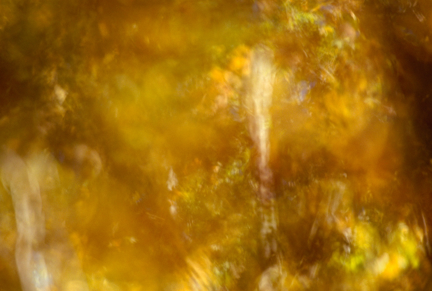 thrall:     autumnal    gold     aspens   season    Fall   equinox  October    western  calm   surrender      abstract-landscape